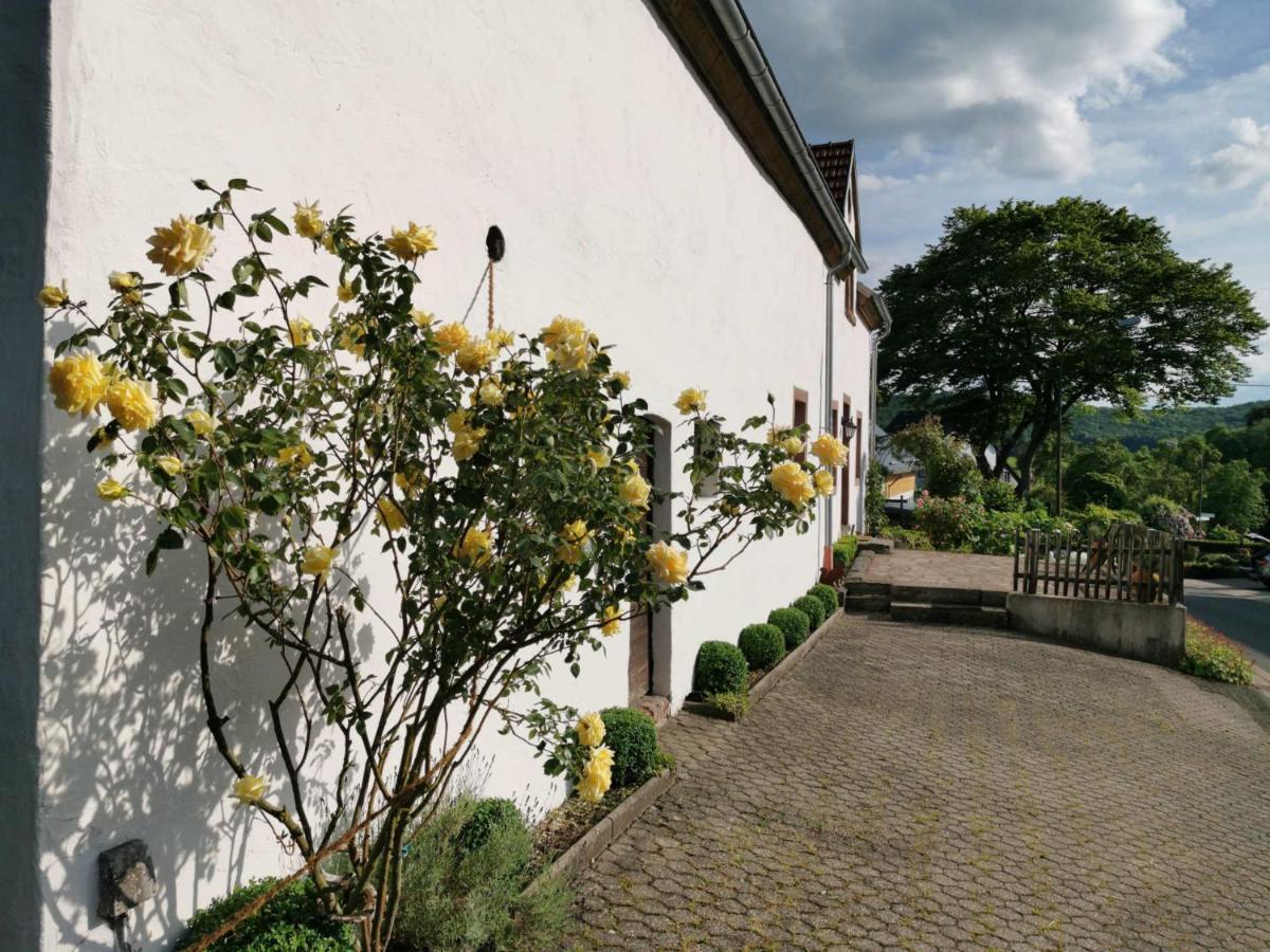 Ferienhaus Vulkaneifel Landhaus Loogh Kerpen  المظهر الخارجي الصورة