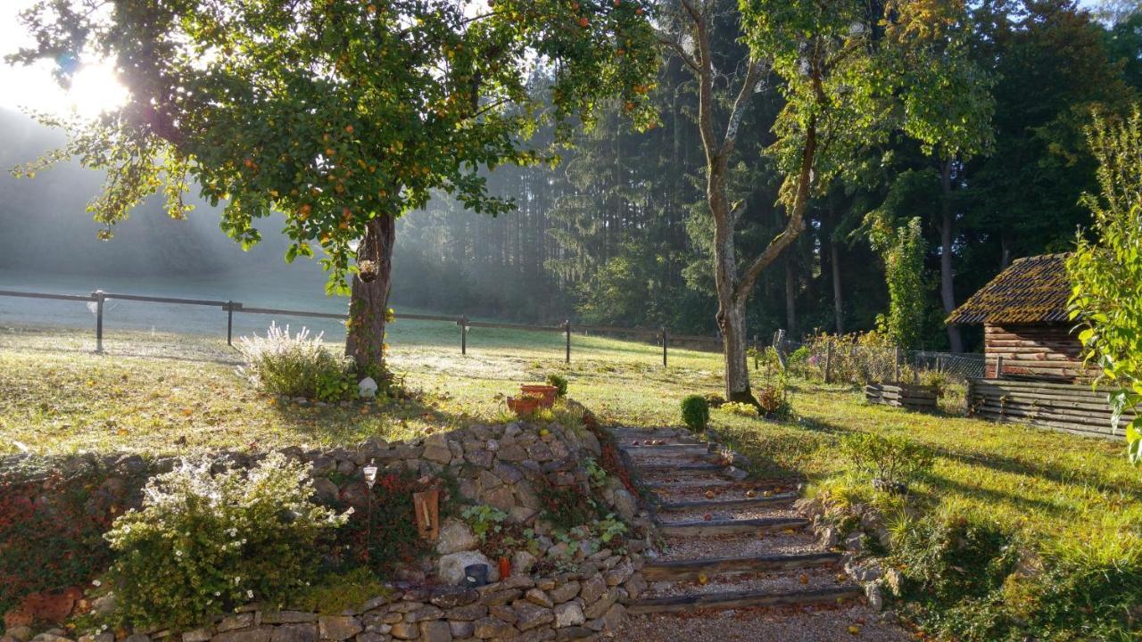 Ferienhaus Vulkaneifel Landhaus Loogh Kerpen  المظهر الخارجي الصورة