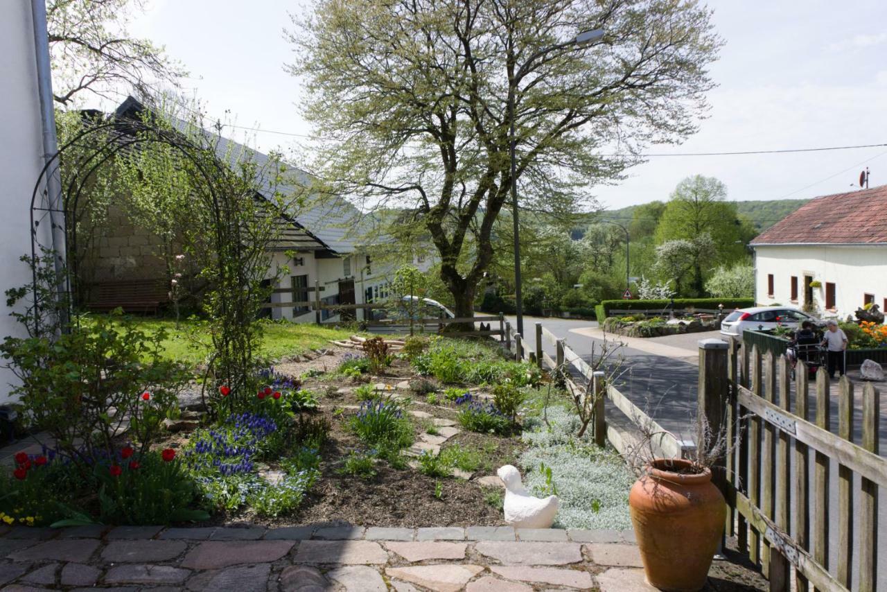 Ferienhaus Vulkaneifel Landhaus Loogh Kerpen  المظهر الخارجي الصورة