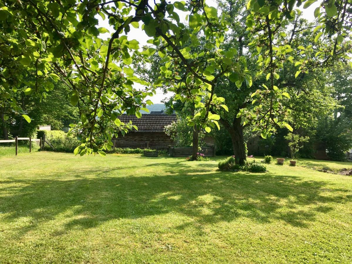 Ferienhaus Vulkaneifel Landhaus Loogh Kerpen  المظهر الخارجي الصورة