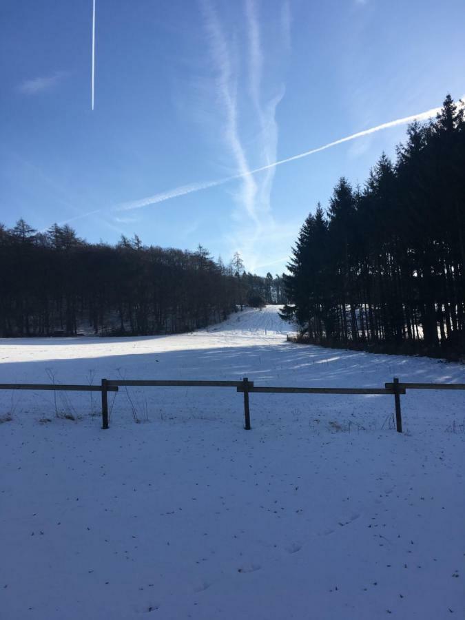 Ferienhaus Vulkaneifel Landhaus Loogh Kerpen  المظهر الخارجي الصورة