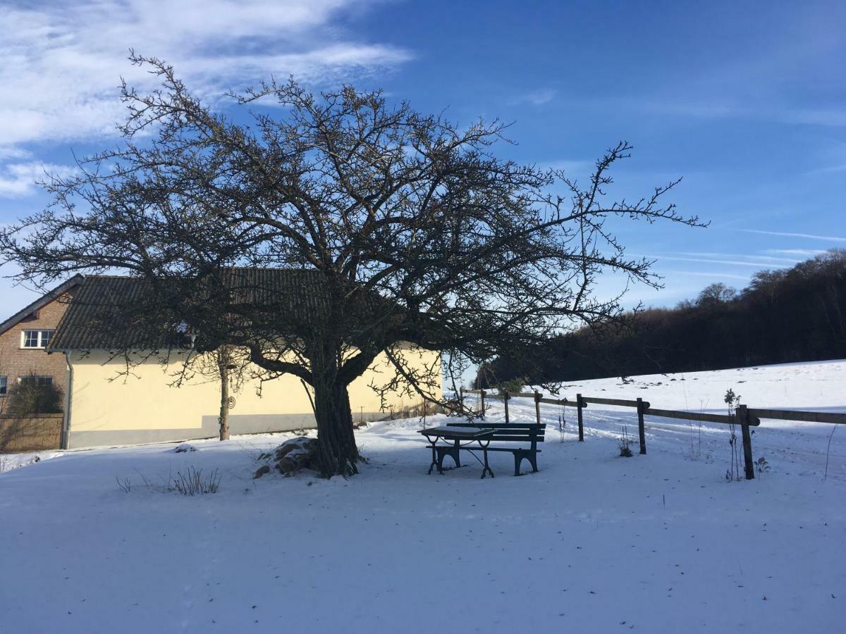 Ferienhaus Vulkaneifel Landhaus Loogh Kerpen  المظهر الخارجي الصورة